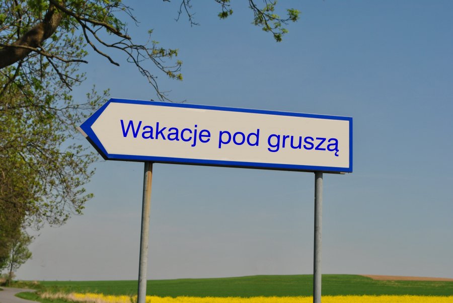 Wczasy pod gruszą to nie wszystko. Z jakich świadczeń socjalnych możesz skorzystać jako zatrudn