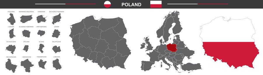 Rząd zmienił aplikację mObywatel. Koniec z mTożsamością!