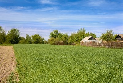 Jak kupić ziemię rolną po zmianach?