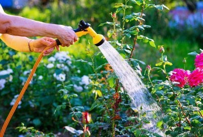 Gminy będą karać za podlewanie ogródków w upał? Bo trzeba oszczędzać wodę