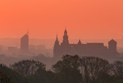 Ustawa antysmogowa, czyli czym można palić w piecu?