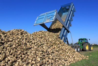 Cukrowy gigant pod lupą UOKiK