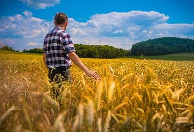 150 tys. zł dla młodego rolnika – jak zdobyć bezzwrotną premię?