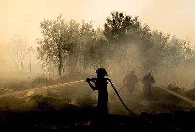 Spada liczba pożarów lasów, jednak straty są wciąż gigantyczne