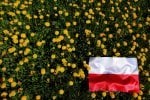 Graficy mają problem z flagą i herbem Polski