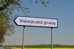 "Wczasy pod gruszą" to nie wszystko. Z jakich świadczeń socjalnych możesz skorzystać jako zatrudniony?