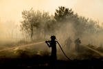 Spada liczba pożarów lasów, jednak straty są wciąż gigantyczne