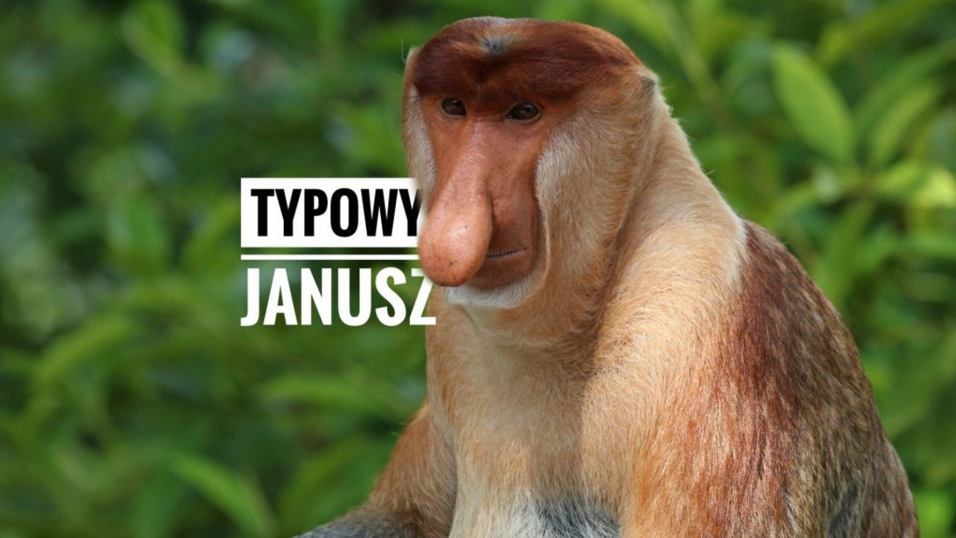 Ilu w Polsce jest Januszów? - Najpopularniejsze imiona w bazie PESEL