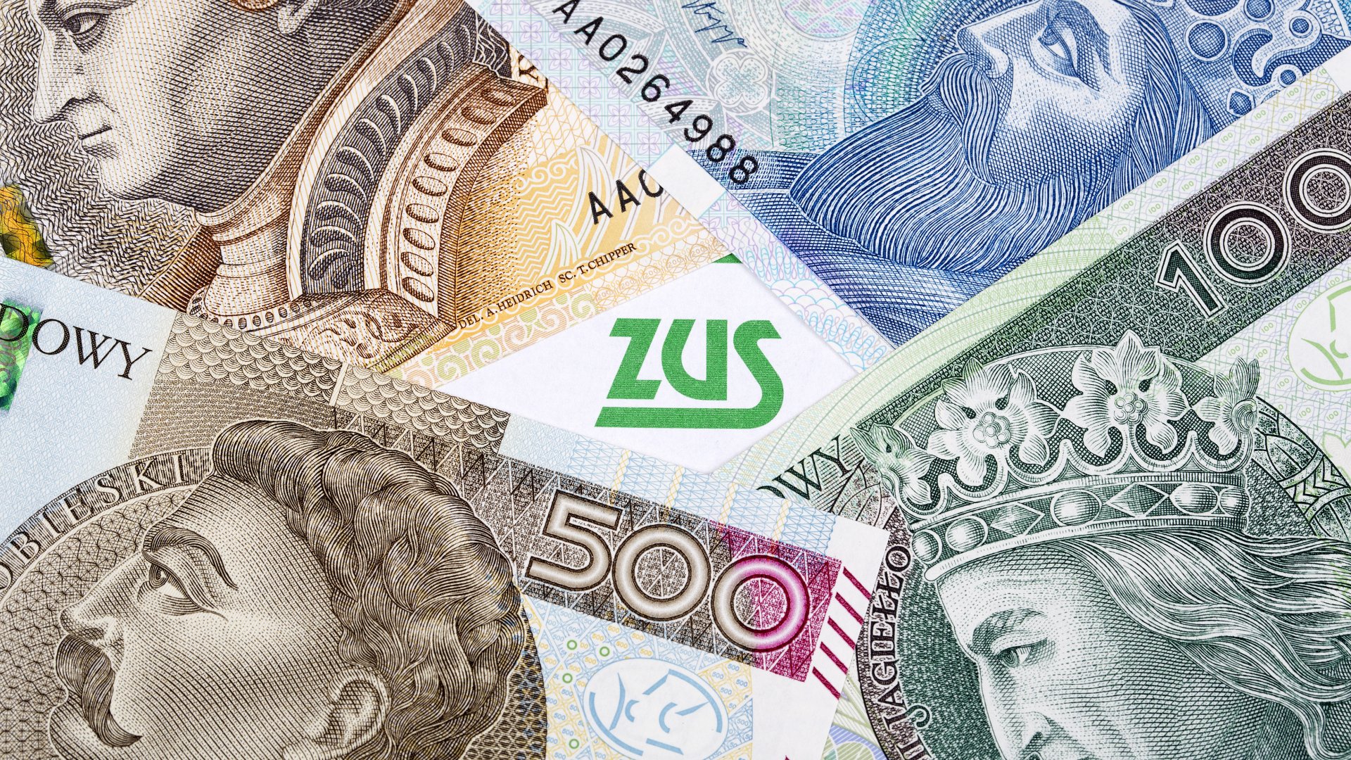 ZUS czy IKE, czyli co stanie się z pieniędzmi z OFE