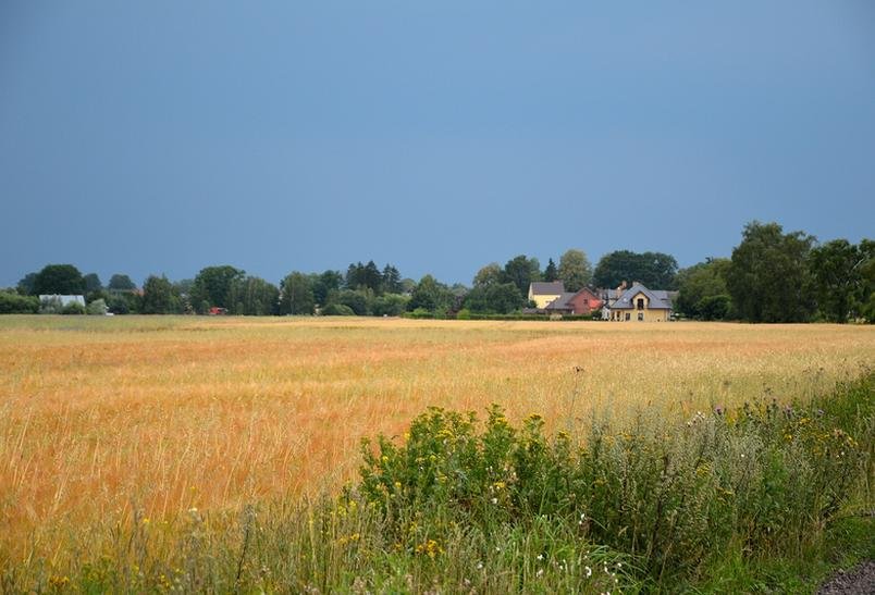 Wydłużony termin składania wniosków o dopłaty bezpośrednie dla rolników