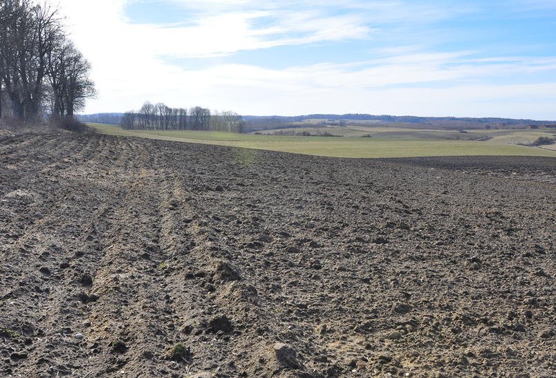 Zakaz sprzedaży państwowych nieruchomości rolnych do 2026 roku