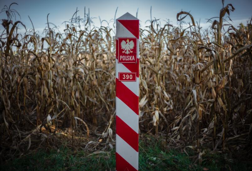 Granica polsko-białoruska. Ruszyła budowa bariery [FILM]