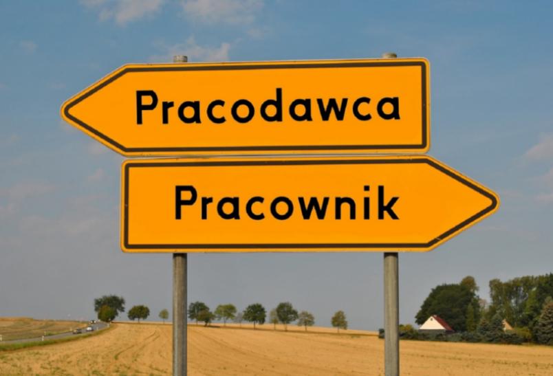 Gdzie można sprawdzić pracodawcę?