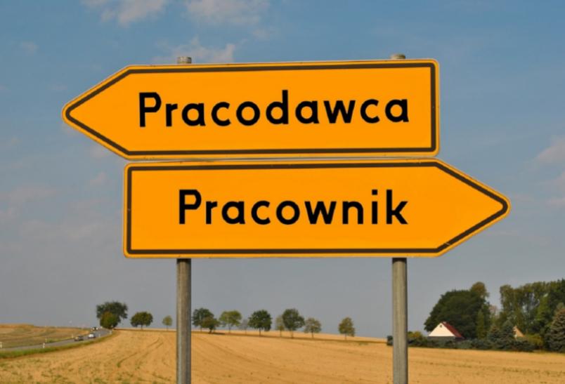 Gdzie można sprawdzić pracodawcę?