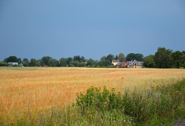 Wydłużony termin składania wniosków o dopłaty bezpośrednie dla rolników Wydłużony termin składania wniosków o dopłaty bezpośrednie dla rolników