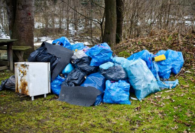 Będą srogie kary za niszczenie środowiska Będą srogie kary za niszczenie środowiska