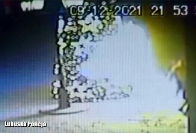 FILM! Podpalił miejską choinkę. Grozi mu 12 lat więzienia!