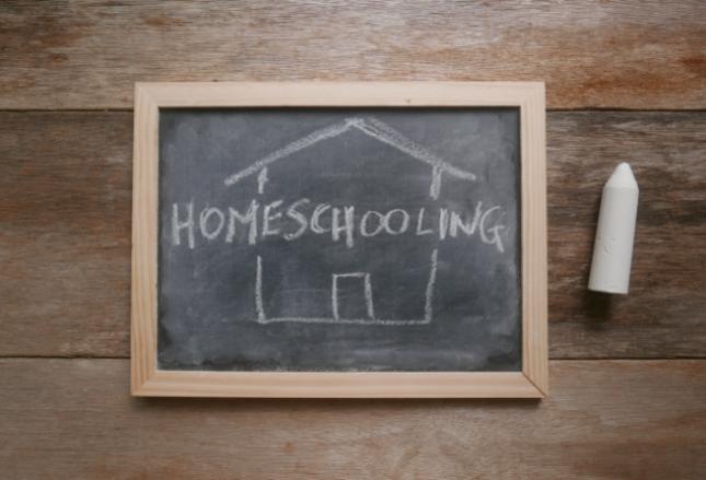 Jak wspierać edukację domową swojego dziecka? Jak wspierać edukację domową swojego dziecka?