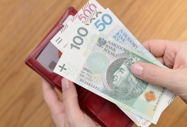 Bezwarunkowy dochód podstawowy - co to? Bezwarunkowy dochód podstawowy - co to?