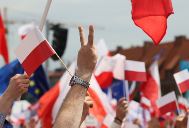 Analiza sondaży przedwyborczych. Czy mają wpływ na wyniki wyborów? Analiza sondaży przedwyborczych. Czy mają wpływ na wyniki wyborów?