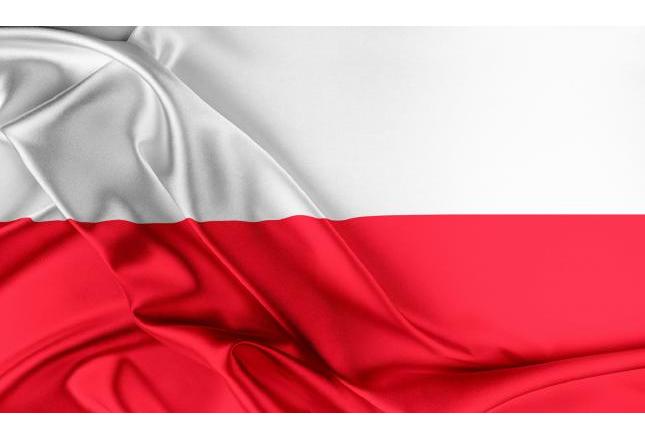 Kluczowe rynki dla polskich produktów. Gdzie sprzedajemy najwięcej? Kluczowe rynki dla polskich produktów. Gdzie sprzedajemy najwięcej?
