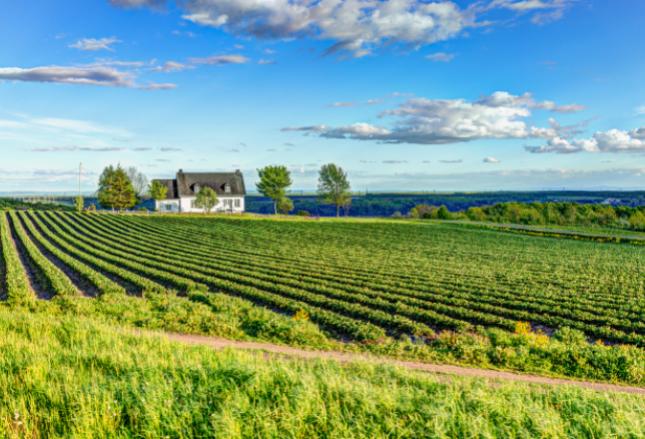 Jakie regulacje obowiązują w dziedziczeniu gospodarstwa rolnego? Jakie regulacje obowiązują w dziedziczeniu gospodarstwa rolnego?