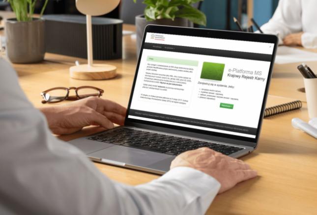 Jak uzyskać zaświadczenie o niekaralności online? Jak uzyskać zaświadczenie o niekaralności online?