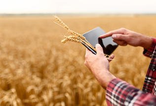 Okienko dla rolnika – cyfrowy projekt resortu rolnictwa