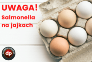 Salmonella na jajkach. To kolejny przypadek