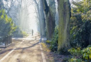 Polska mapa zgonów. Gdzie i na co umiera najwięcej osób? Zgony 2021
