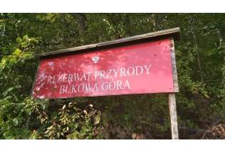 Zakaz wstępu do jednego z  rezerwatów w woj. świętokrzyskim. Drzewa łamią się ze starości