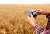 Okienko dla rolnika – cyfrowy projekt resortu rolnictwa
