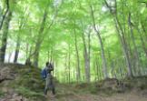 Lasy Państwowe uruchomiły nowy portal nt. turystyki leśnej
