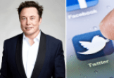 Twitter w rękach Elona Muska. Fala krytyki i fala entuzjazmu