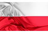 Jak wygląda procedura nadania polskiego obywatelstwa?