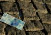 Uszkodzone banknoty - co z nimi zrobić?